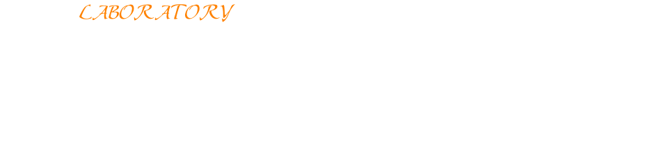 The LABORATORY covers 1000 square meters, and is constructed, equipped and dedicated to the study design and implementation product sought and desired by our CUSTOMERS.  Each project is to him, and we are open to any proposal and furnishing solution.